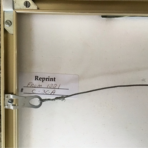 Vintage Bloodhound Dog magazine Illustration Print in metal frame - Picture 4 of 5